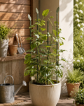 Arvelinan™ LeafRise Plant Support Set